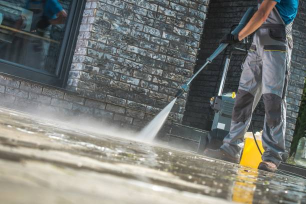 Best Animal Enclosure Cleaning  in Charleston, MO
